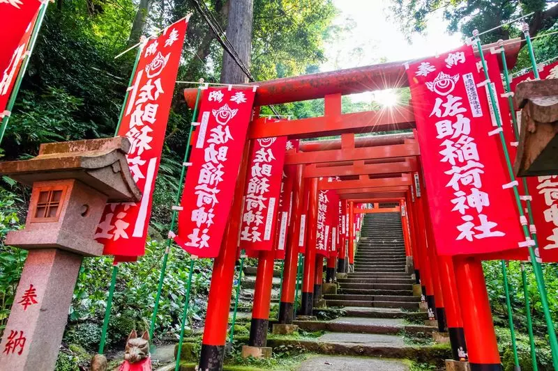 10. 佐助稲荷神社｜赤い鳥居とたくさんの狐が立ち並ぶ神社 1枚目
