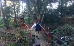 【川越観光】穴場スポット！「川越大師 喜多院」エリアをご紹介♪