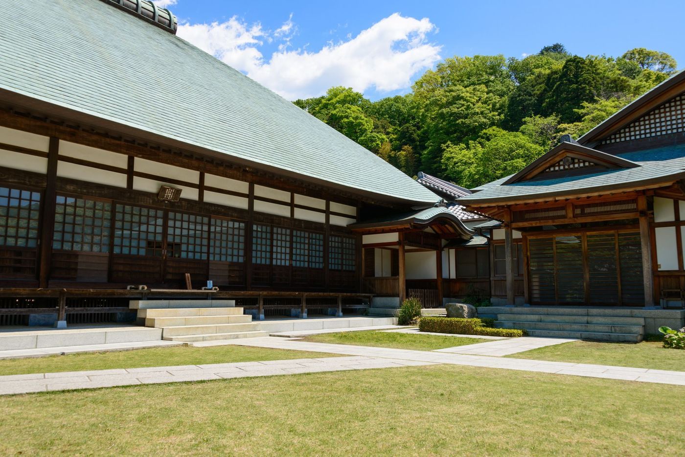 の画像