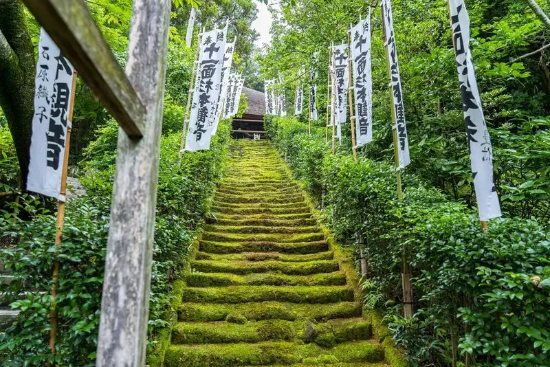 35. 杉本寺｜苔の石段が見所！鎌倉最古の寺 2枚目
