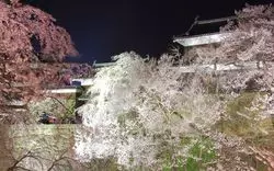 長野の有名観光地・上田を存分に楽しもう♪厳選スポットをご紹介☆