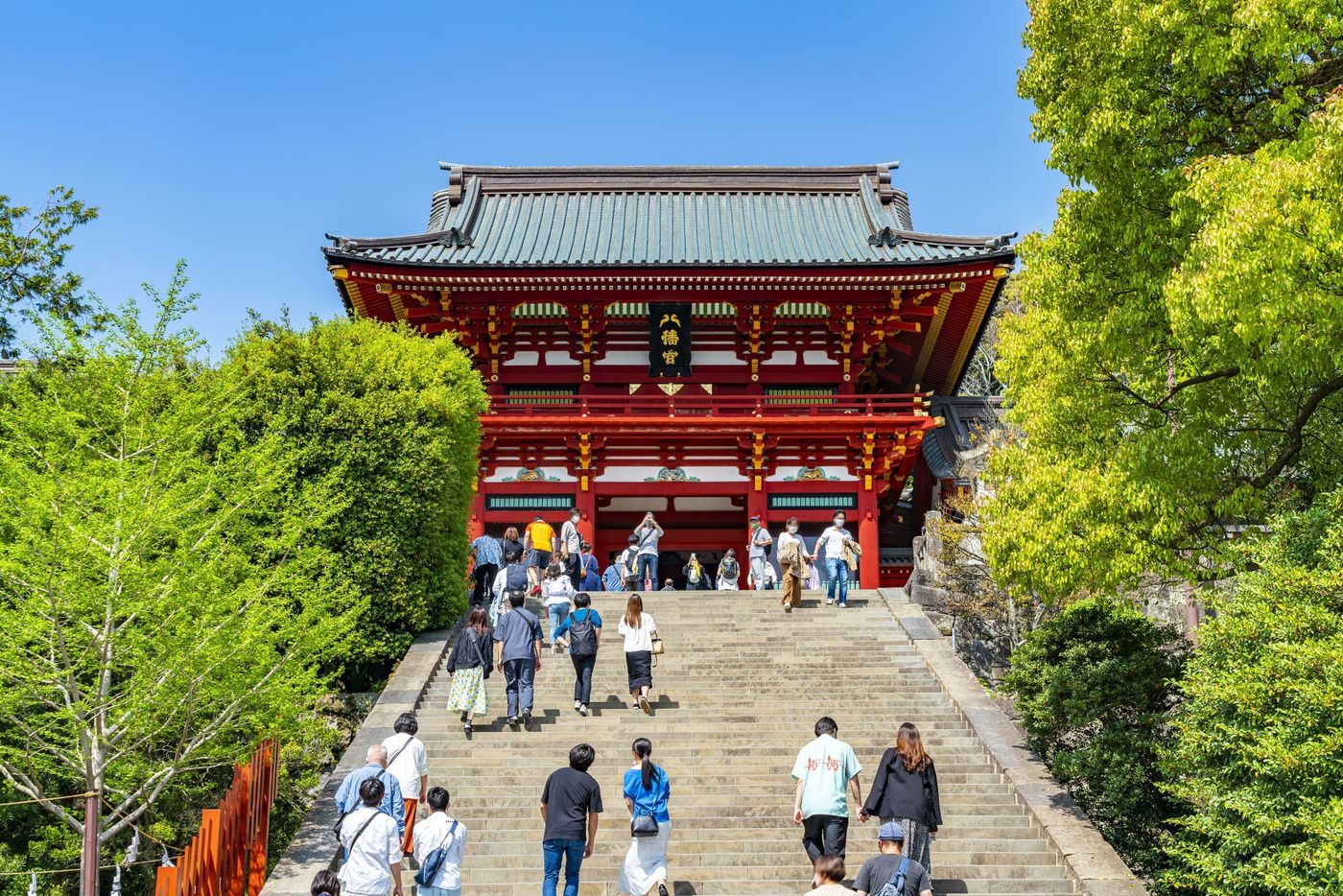 の画像