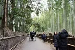 【京都】嵐山で行きたい！定番の観光スポット