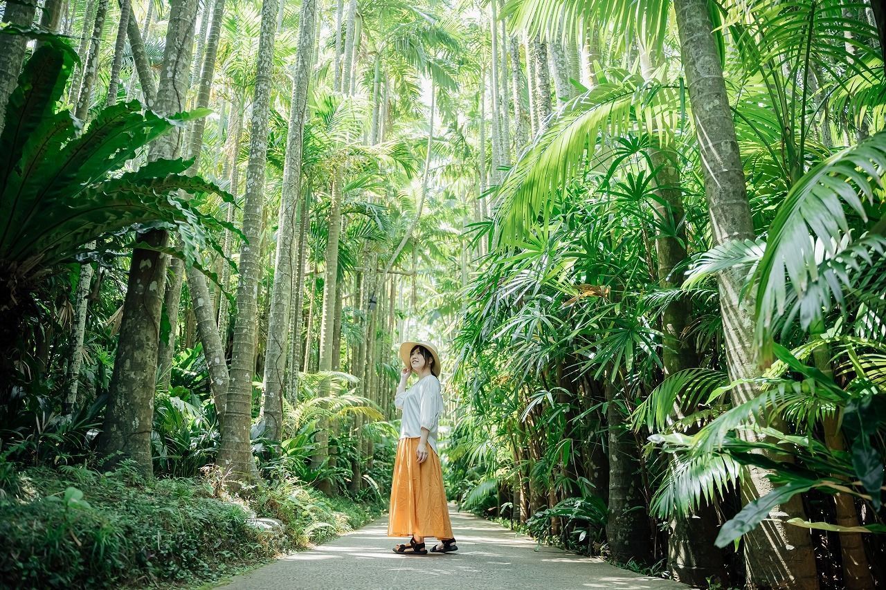 【沖縄】家族旅行にぴったりな観光スポット『東南植物楽園』！季節イベントや楽しめる見所を紹介の画像