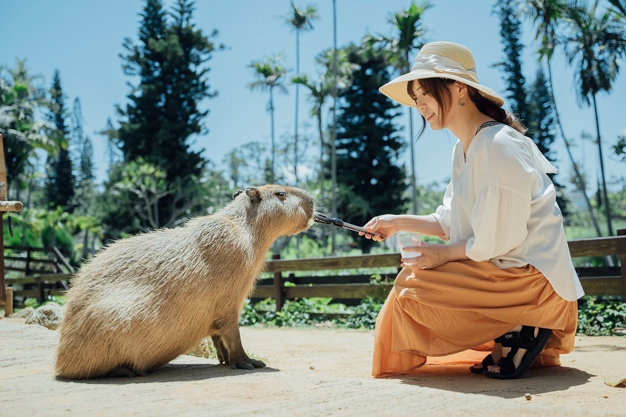 【沖縄】家族旅行にぴったりな観光スポット『東南植物楽園』！季節イベントや楽しめる見所を紹介の画像