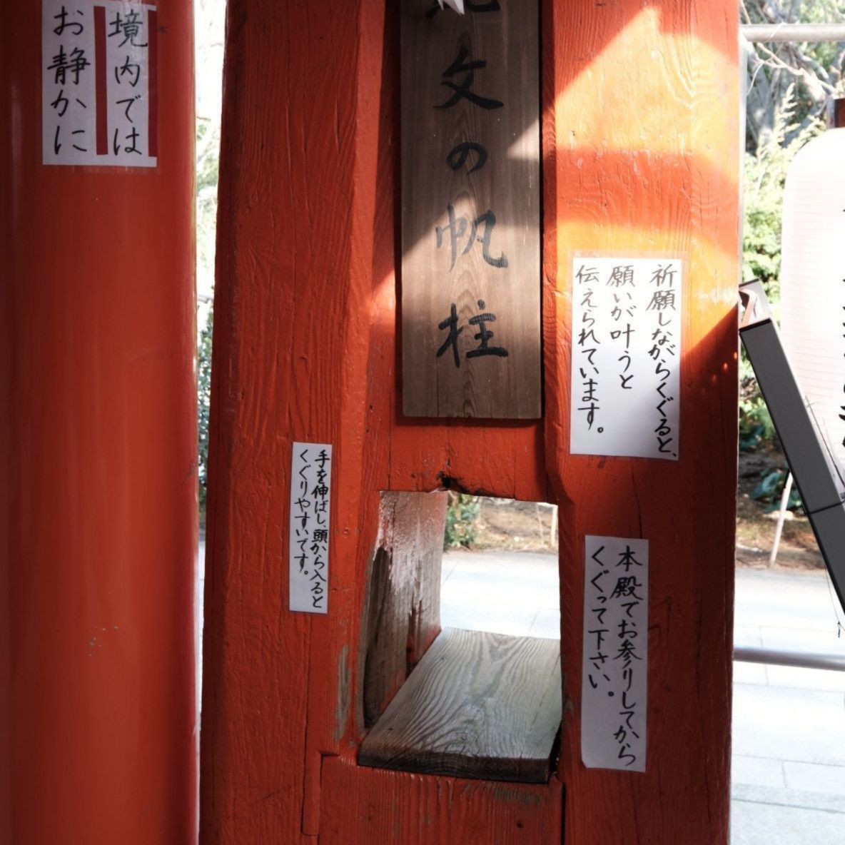 の画像