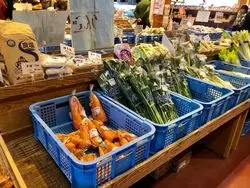 【新潟】お土産を買いに♪地元の人で賑わう道の駅へ行こう！