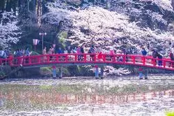 【関東】今からが見頃！春満載の茂原公園に行ってみよう