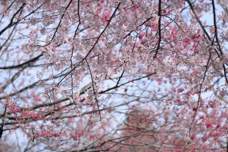 なんと園内では足休めも可能！ 1枚目