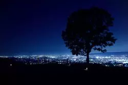 【奈良】夜の若草山はロマンチック！絵画のような夜景を見に行こう♪
