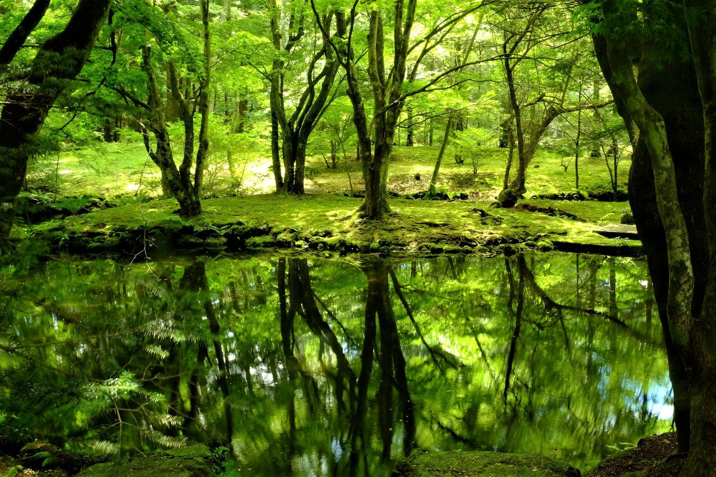 【一度は見たい絶景】軽井沢にある美しい水鏡の画像