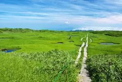 神秘的な緑で涼を感じよう。夏の山形観光5選で非日常体験！