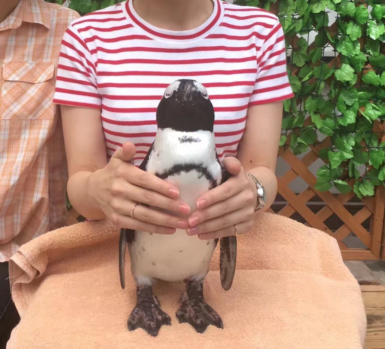 【静岡×フォトジェニックな旅】鳥と触れ合う！インスタ映えスポットの画像