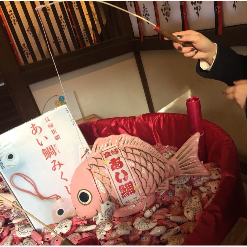 の画像