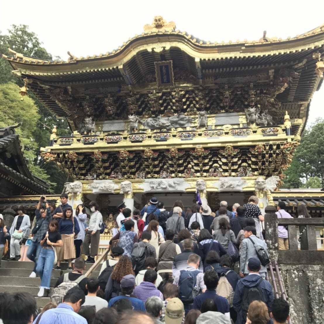 の画像