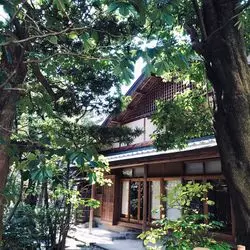 博多の新しい歩き方！おすすめはこれ！