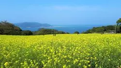 【福岡】レジャーシーズンにおすすめ！島で自然を満喫しよう♡