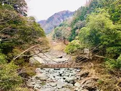 【徳島】秘境を満喫するならココへ♪大歩危・祖谷のスポットをご紹介