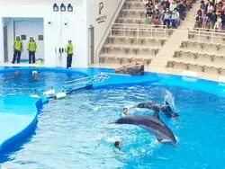 【宮城】水族館から体験まで！ニッチな観光スポットをご紹介！