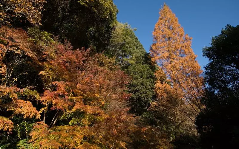 2. 湯河原で自然を体感できる観光地「万葉公園」 2枚目