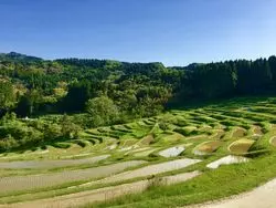 【千葉】雄大な自然がうみだす絶景を観にいこう！
