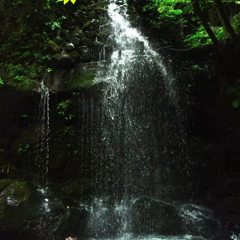 3. 湯河原の穴場観光地！マイナスイオン溢れる「不動滝」 1枚目