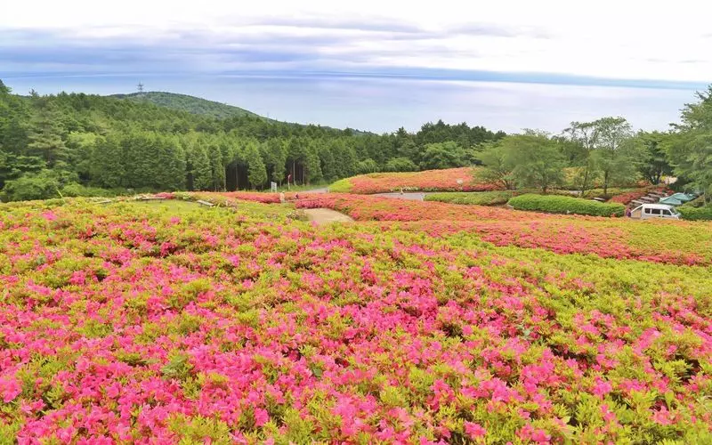 8. 湯河原で女子旅におすすめの観光地！さつきの花が美しい「さつきの郷」 1枚目