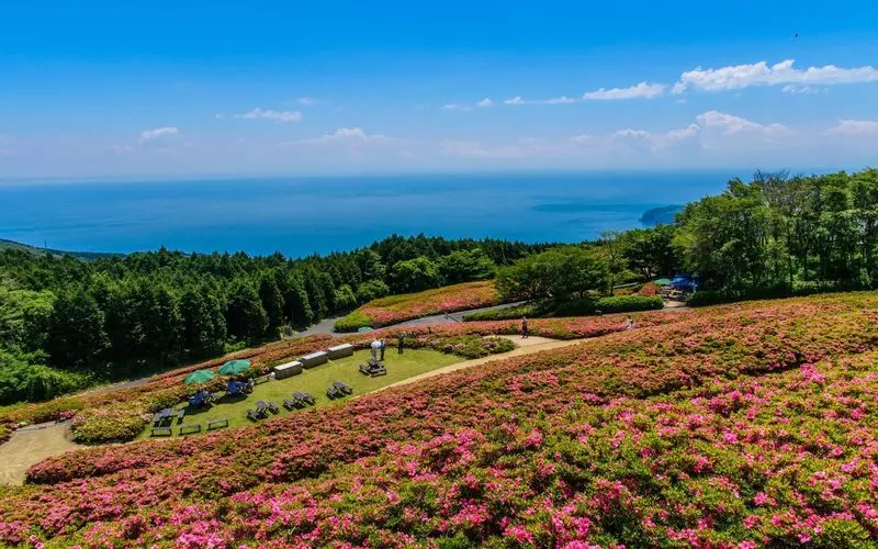 8. 湯河原で女子旅におすすめの観光地！さつきの花が美しい「さつきの郷」 2枚目