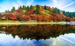 【散歩好き必見！】愛知県ひとり旅におすすめのエリア別観光案内♪
