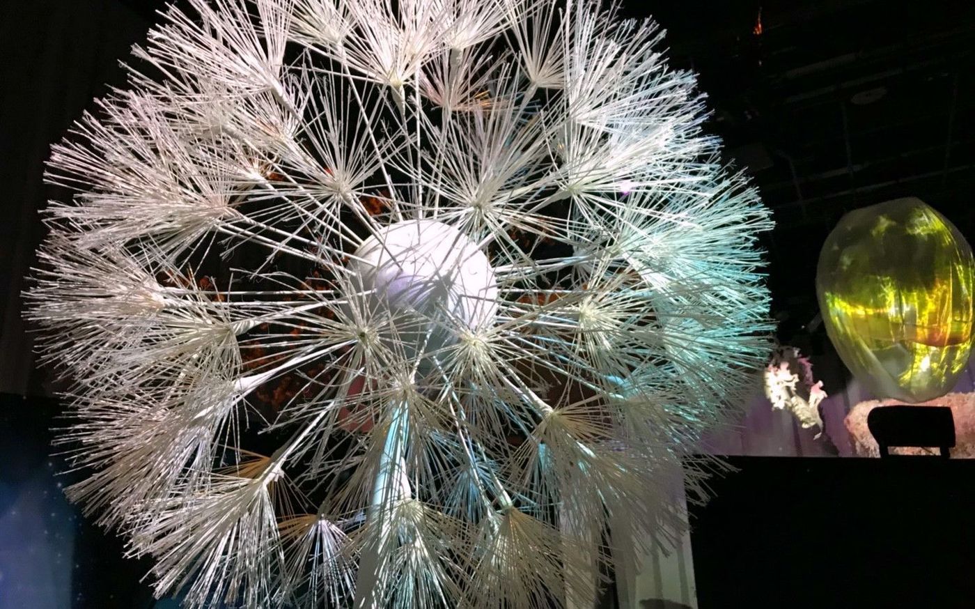 の画像