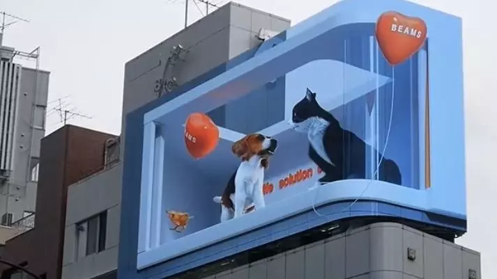 思わずカメラで撮影してしまう！インパクトのある映像を放映中 2枚目