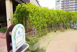 親子で楽しめる！子連れでおでかけに行くならグランツリー武蔵小杉へ☆