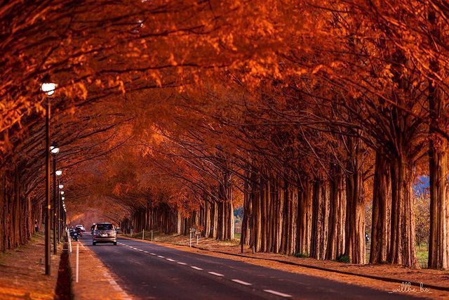関西の景色をのんびり満喫 絶対行くべき自然の絶景スポット10選 Aumo アウモ