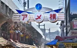 【上野駅周辺】大人も子供も楽しめる上野の人気観光スポットご紹介！