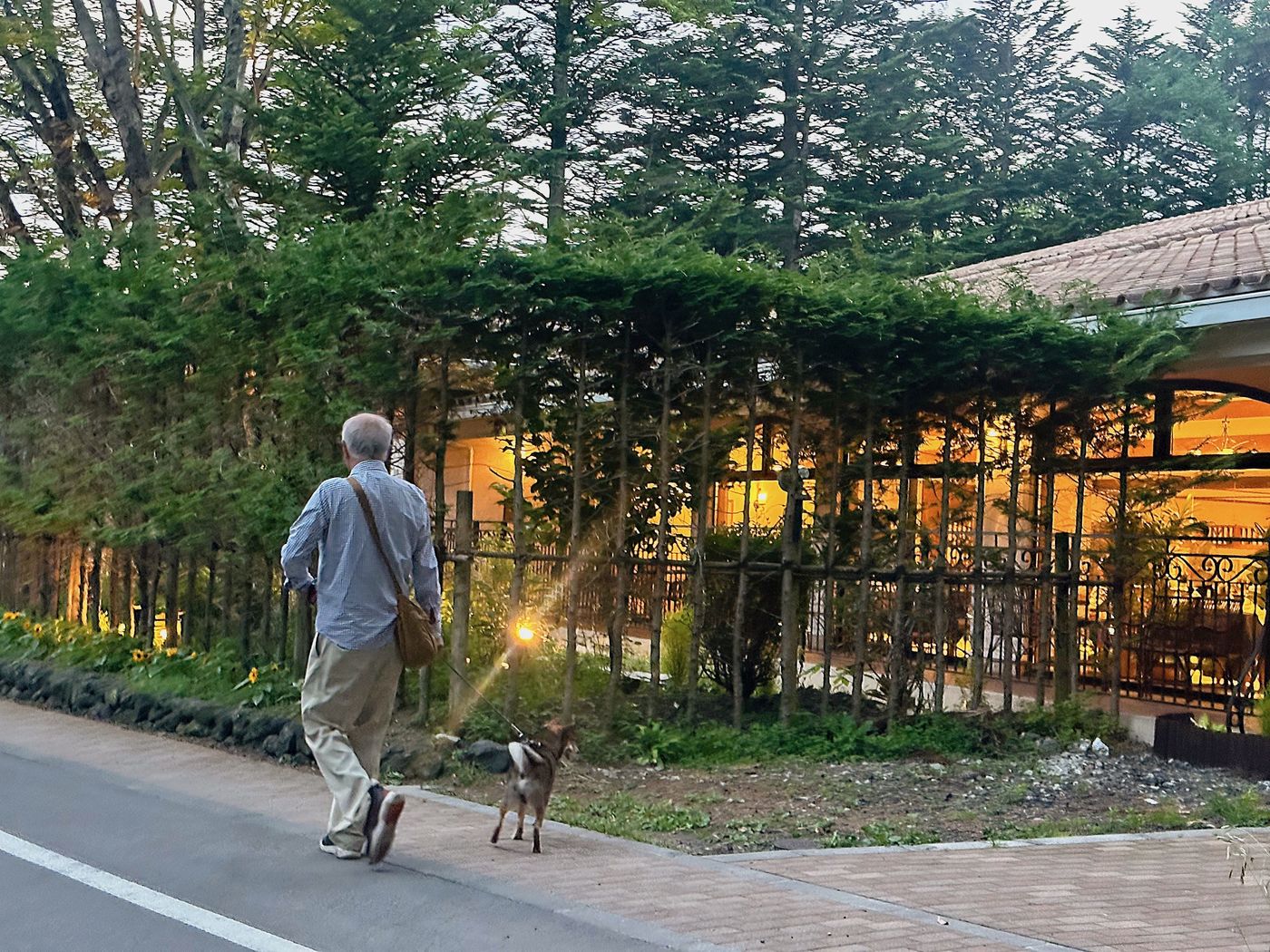 憧れリゾート・軽井沢で愛犬と過ごす贅沢『ルシアン旧軽井沢』での1泊2日ルポの画像