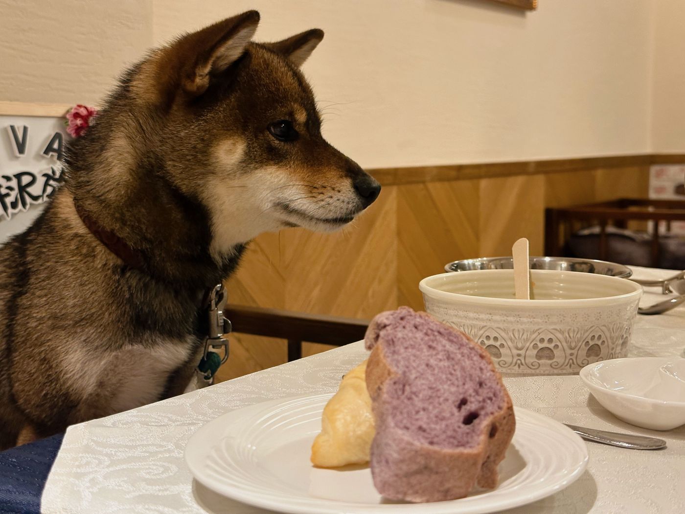 憧れリゾート・軽井沢で愛犬と過ごす贅沢『ルシアン旧軽井沢』での1泊2日ルポの画像