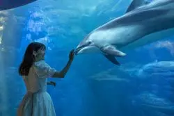 デートにもぴったりな“夜の海遊館”は昼間とは一変！違った過ごし方ができる穴場スポット！