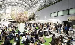 【4月5～7日】全長1kmの桜並木！アークヒルズのさくらまつりで春をスタート♡