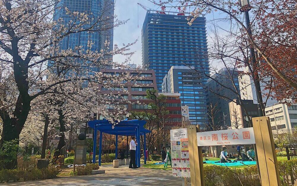 【4月5～7日】全長1kmの桜並木！アークヒルズのさくらまつりで春をスタート♡の画像