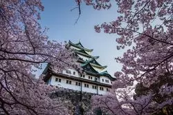 【名古屋の旅館】和の趣に癒される宿3選！グループ宿泊もおすすめ♪