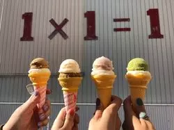 【高知】おすすめ♪フォトジェニックなスポットを巡ろう～中心地編～