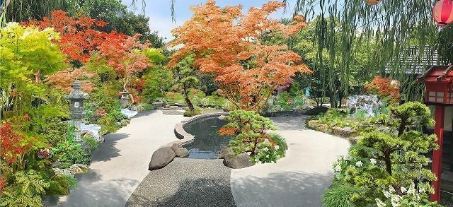の画像