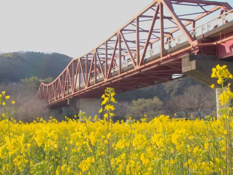 五郎橋河川敷（大洲市） 1枚目