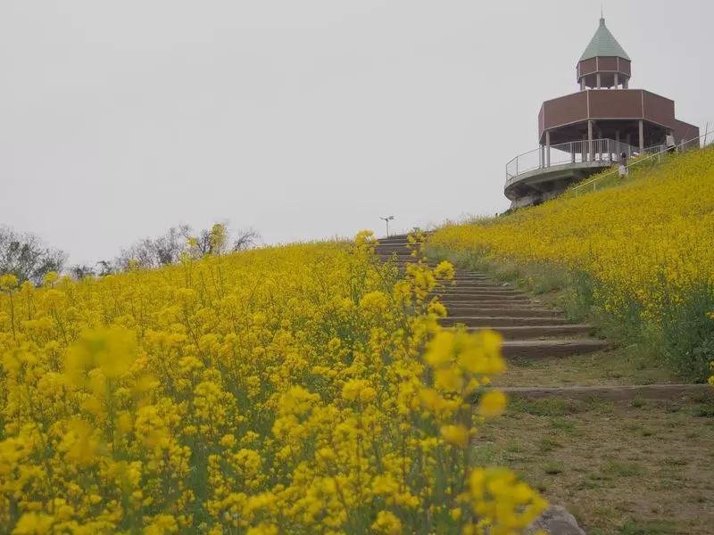 翠波高原（四国中央市） 2枚目