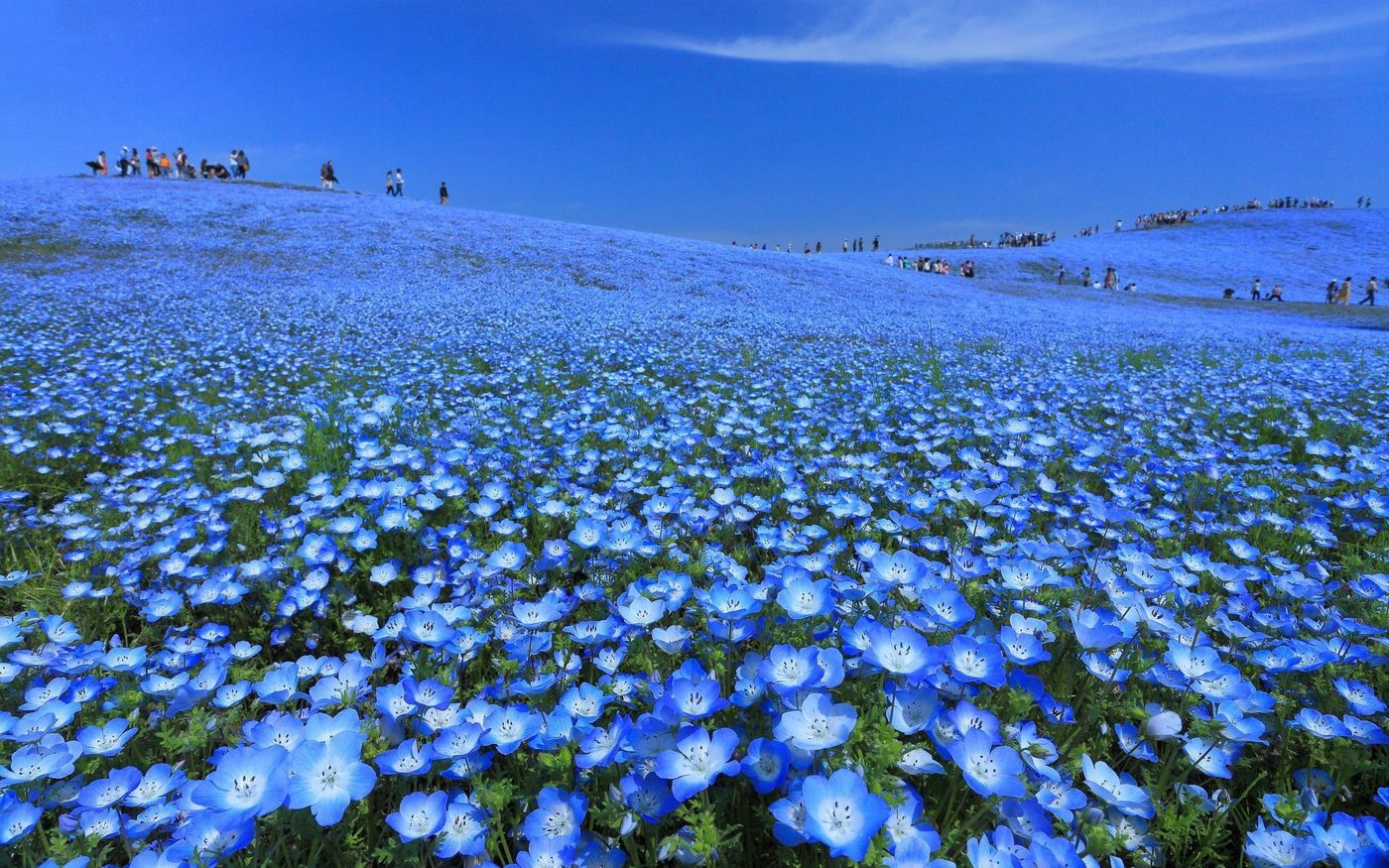 の画像