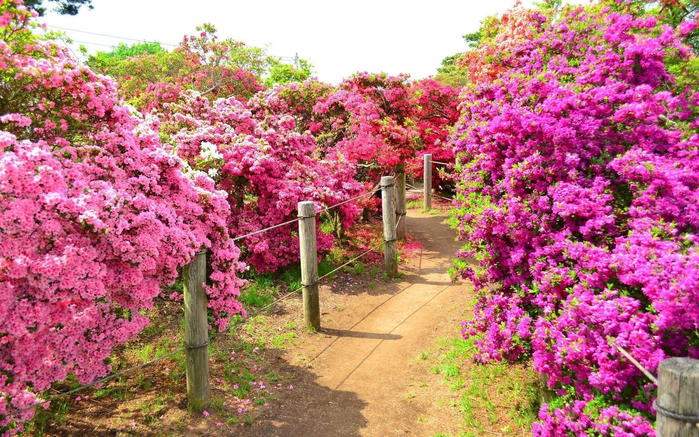 の画像