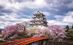 【2024】岐阜の人気花見スポット10選！名所から穴場までご紹介