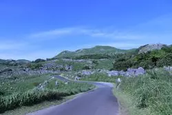 【福岡・北九州】神秘的☆カルスト台地「平尾台」