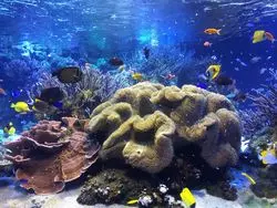 鳥羽水族館へ訪れた際に！一息つきたいカフェ4選♪