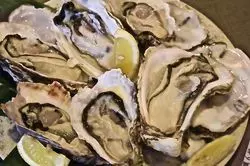 【参宮橋】牡蠣好きには堪らない！リーズナブルな名店♡